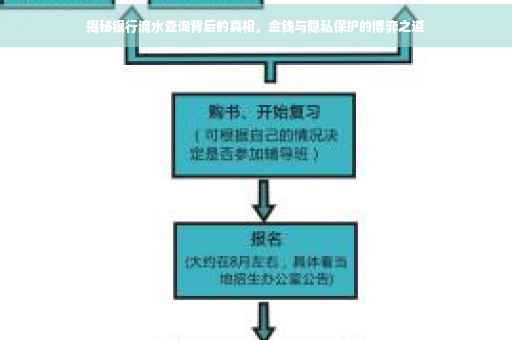 揭秘银行流水查询背后的真相，金钱与隐私保护的博弈之道