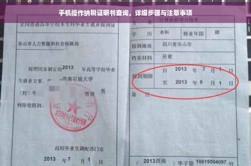 手机操作纳税证明书查询，详细步骤与注意事项