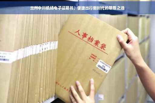 兰州中川机场电子证明书，便捷出行新时代的明智之选