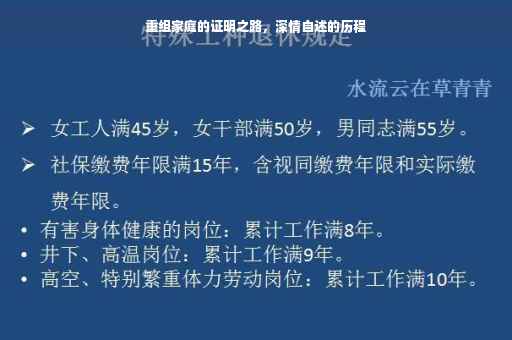 重组家庭的证明之路，深情自述的历程