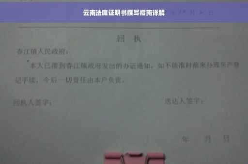 云南法庭证明书撰写指南详解