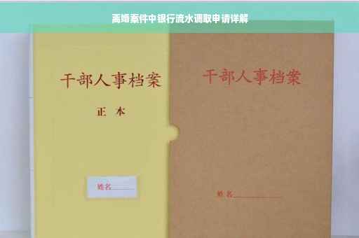 离婚案件中银行流水调取申请详解