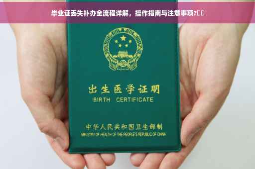 毕业证丢失补办全流程详解，操作指南与注意事项?⚡️