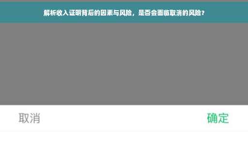 解析收入证明背后的因素与风险，是否会面临取消的风险？
