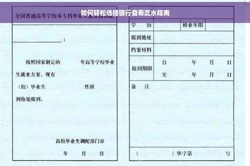 如何轻松选择银行查看流水指南