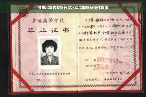 股东出资核查银行流水深度解析及操作指南