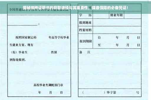 揭秘接种证明书的获取途径与其重要性，健康保障的必备凭证！