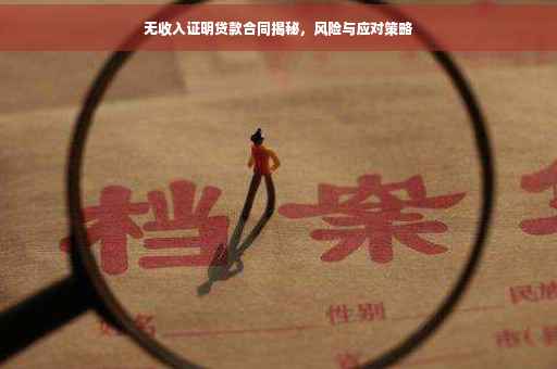 无收入证明贷款合同揭秘，风险与应对策略