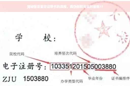 揭秘假货鉴定证明书的真相，真伪辨别与应对策略??