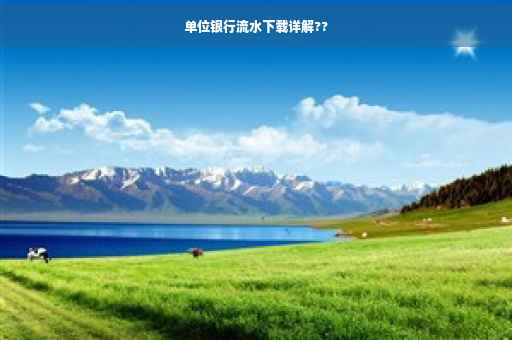 单位银行流水下载详解??