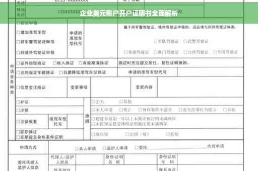 企业美元账户开户证明书全面解析