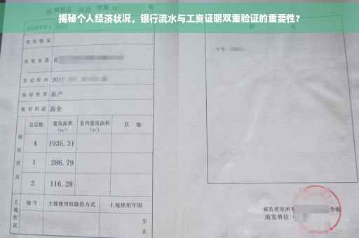 揭秘个人经济状况，银行流水与工资证明双重验证的重要性?