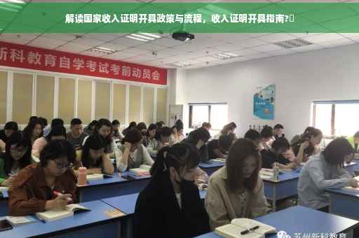 解读国家收入证明开具政策与流程，收入证明开具指南?✨