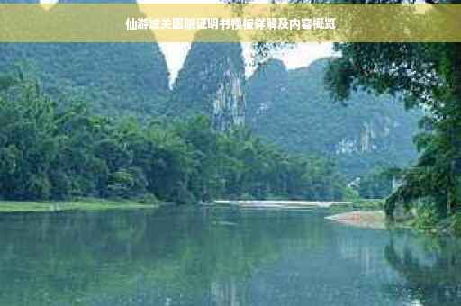 仙游城关医院证明书模板详解及内容概览