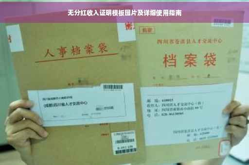 无分红收入证明模板图片及详细使用指南