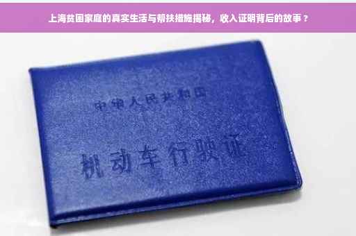 上海贫困家庭的真实生活与帮扶措施揭秘，收入证明背后的故事 ?