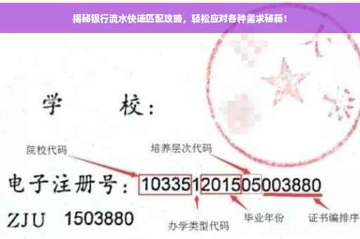 揭秘银行流水快速匹配攻略，轻松应对各种需求秘籍！
