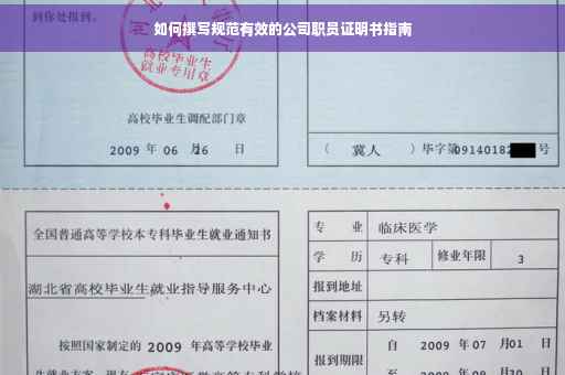 如何撰写规范有效的公司职员证明书指南