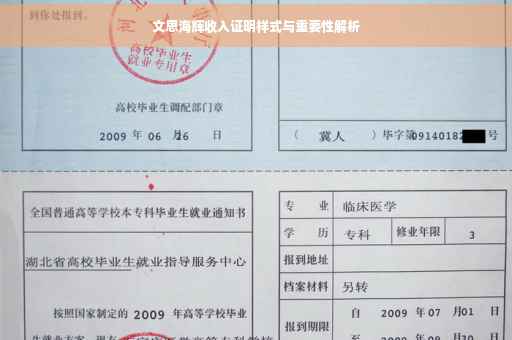 文思海辉收入证明样式与重要性解析