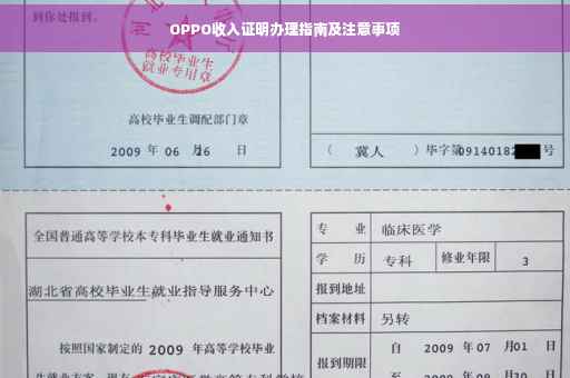 OPPO收入证明办理指南及注意事项