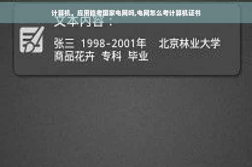 计算机，应用能考国家电网吗,电网怎么考计算机证书