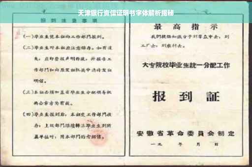 天津银行资信证明书字体解析揭秘