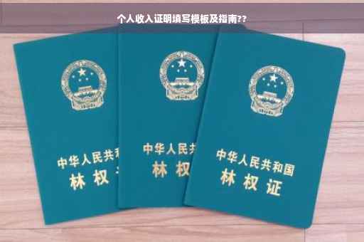 个人收入证明填写模板及指南??