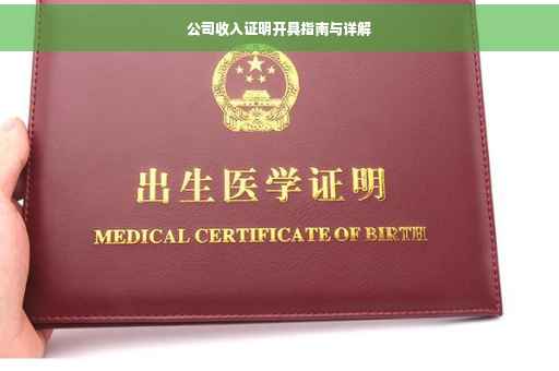 公司收入证明开具指南与详解
