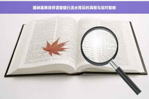 揭秘离婚律师调查银行流水背后的真相与应对策略