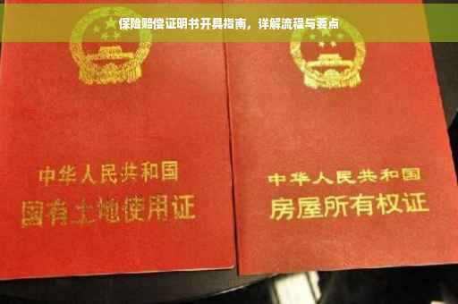 保险赔偿证明书开具指南，详解流程与要点