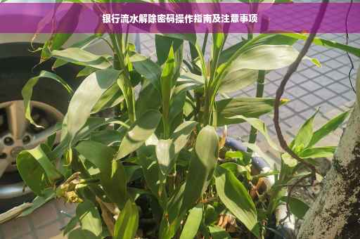 银行流水解除密码操作指南及注意事项