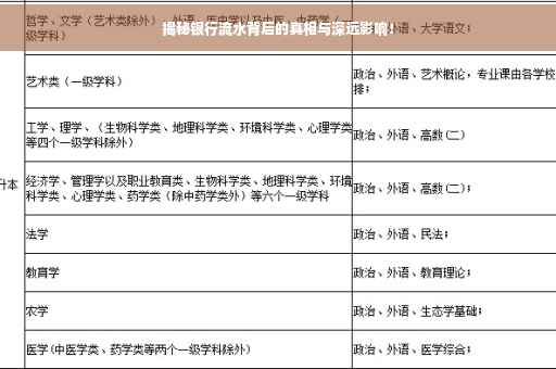 揭秘银行流水背后的真相与深远影响！