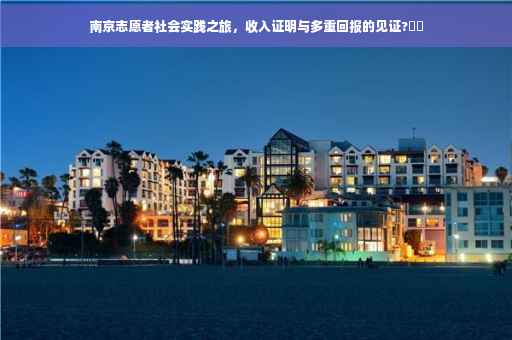 南京志愿者社会实践之旅，收入证明与多重回报的见证?⚡️