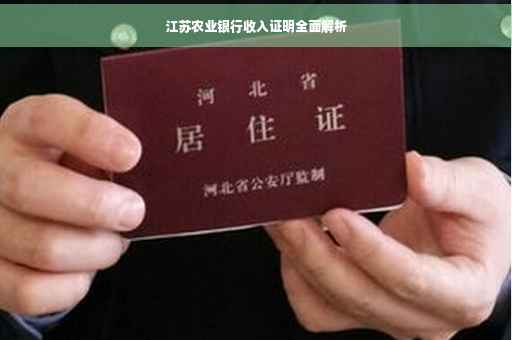江苏农业银行收入证明全面解析