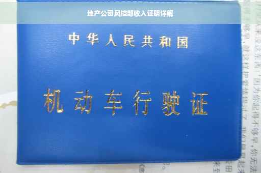 地产公司风控部收入证明详解