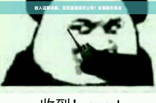 收入证明详解，是否需要填写公司？全面解析要点
