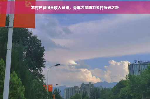 农村户籍团员收入证明，青年力量助力乡村振兴之路