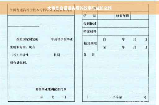 大专毕业证遗失后的故事与成长之旅