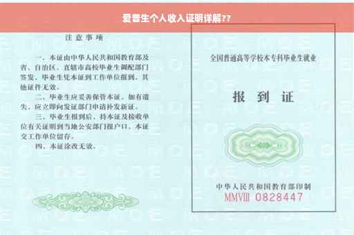 爱普生个人收入证明详解??