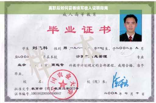 离职后如何妥善填写收入证明指南