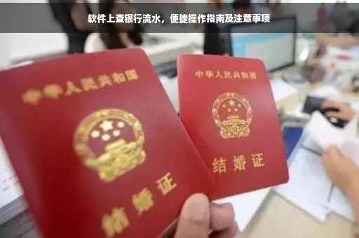 软件上查银行流水，便捷操作指南及注意事项