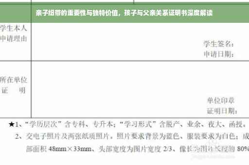 亲子纽带的重要性与独特价值，孩子与父亲关系证明书深度解读