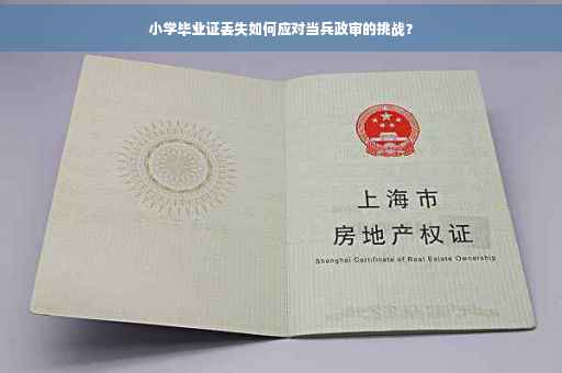 小学毕业证丢失如何应对当兵政审的挑战？