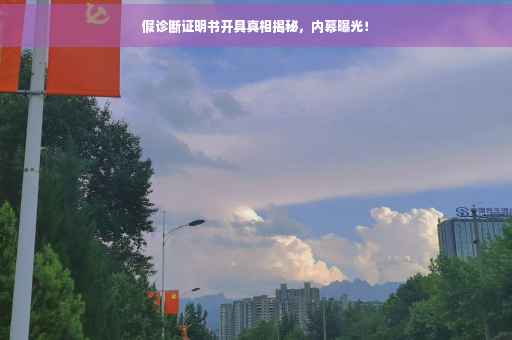 假诊断证明书开具真相揭秘，内幕曝光！