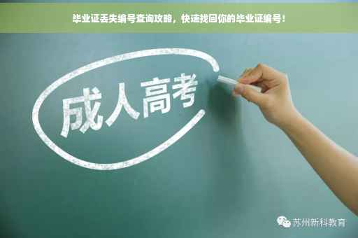 毕业证丢失编号查询攻略，快速找回你的毕业证编号！