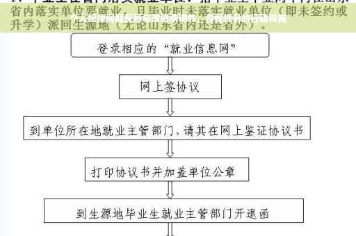 个人纪律问题反思与改进承诺书，自我提升的行动指南