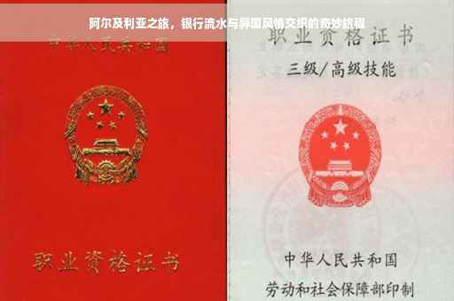 阿尔及利亚之旅，银行流水与异国风情交织的奇妙旅程