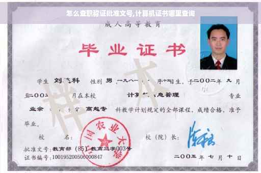 怎么查职称证批准文号,计算机证书哪里查询