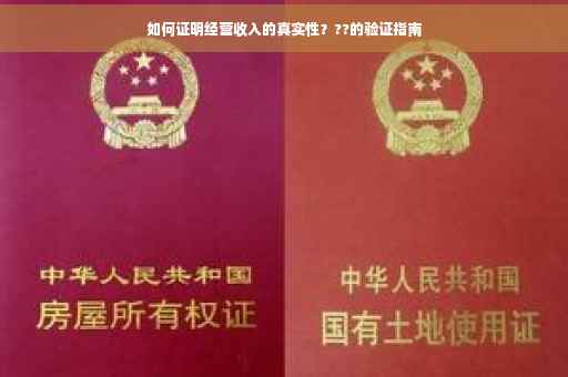 如何证明经营收入的真实性？??的验证指南