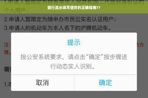 银行流水填写借贷的正确指南??